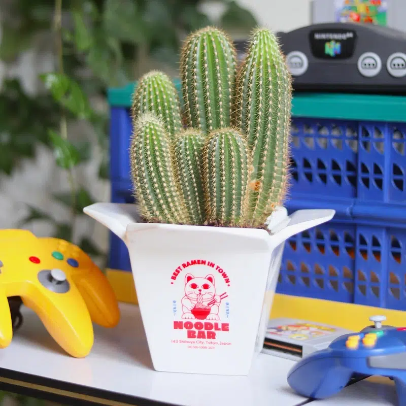 VASE RAMEN – Image 2
