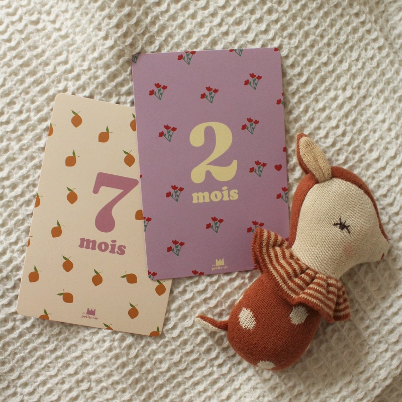 cartes etapes deux sept mois maison volumes lille