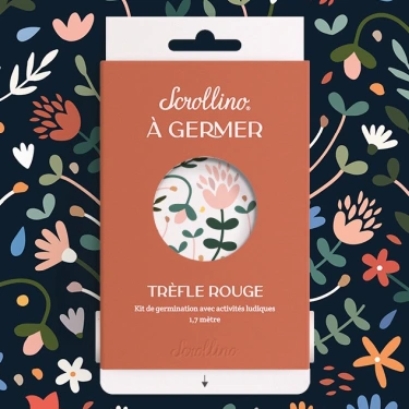 trefle a germer scrolino maison volumes lille 1