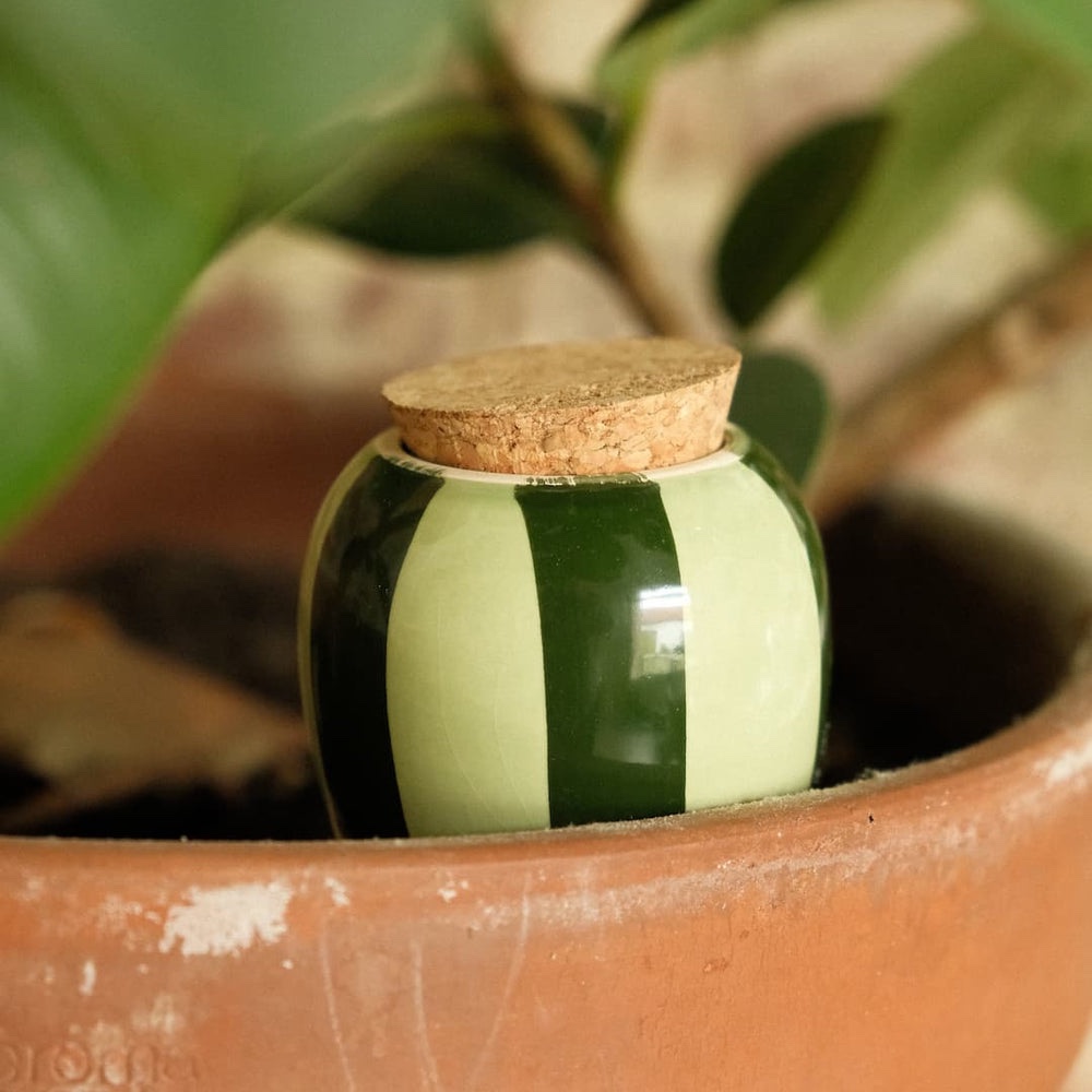 diffuseur d’eau olla hydratante raye vert et vert
