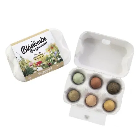 boite À oeufs 6 bombes À fleurs sauvages