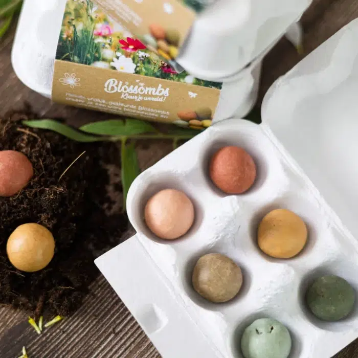 boite À oeufs 6 bombes À fleurs sauvages