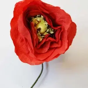 fleur papier coquelicot glace rouge vif studio about maison volumes lille 2