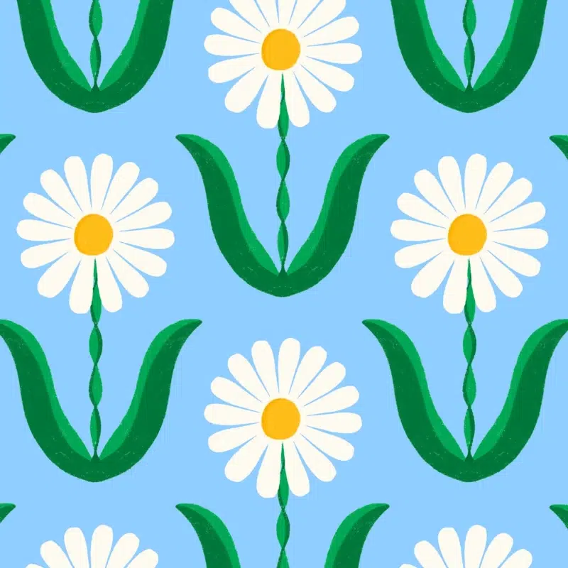 daisypattern cuikui fan eventail fleurs flowers marguerites2 2