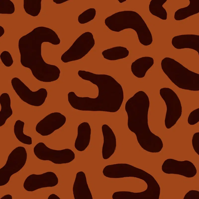 darkleopard cuikui fan eventail mode2 2
