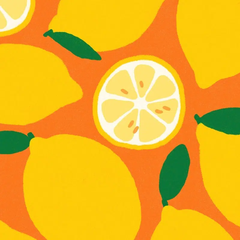 lemons cuikui fan eventail citrons food fruits2 2