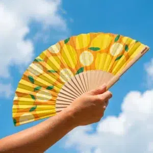 lemons cuikui fan eventail citrons food fruits2