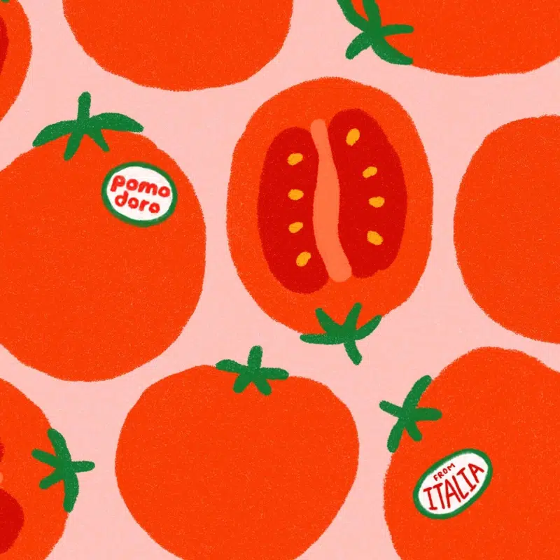 tomatoes cuikui fan eventail tomates food2 2