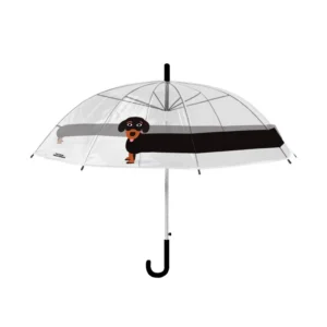 parapluie teckel illustration originale
