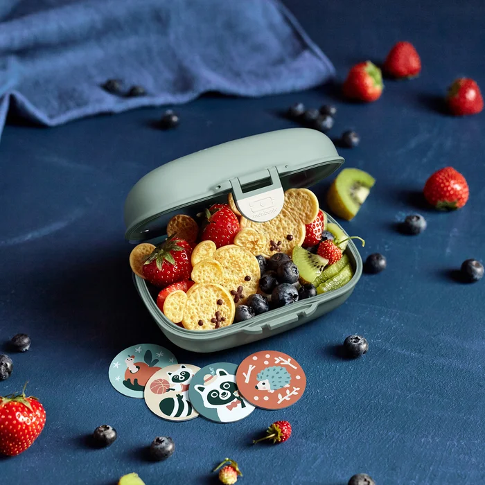 monbento mb gram raccoon 2